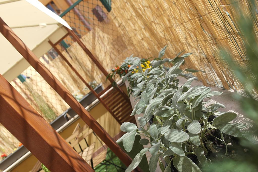 Candia Green House B&B Roma Eksteriør bilde